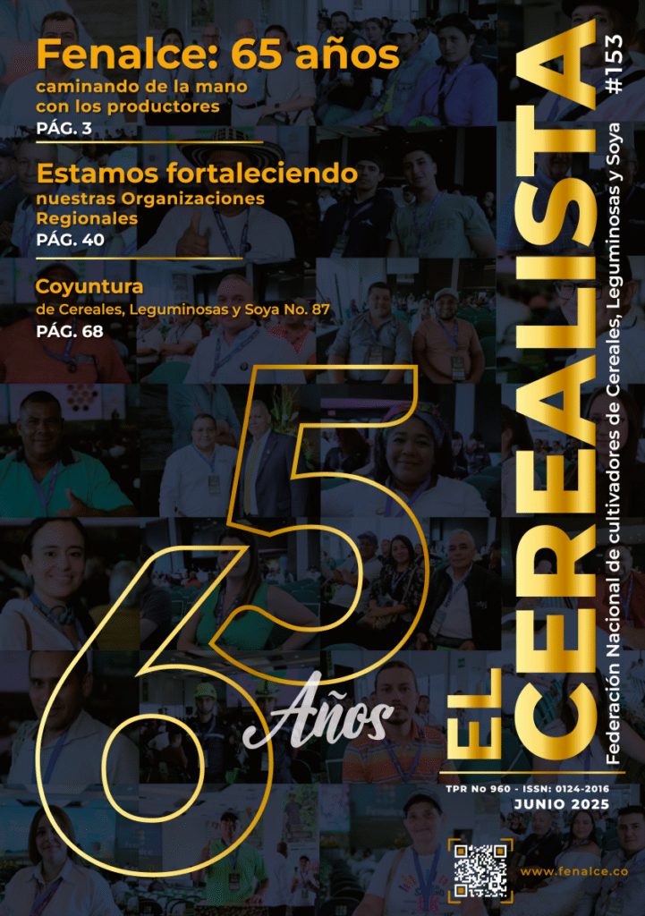 Edición #153