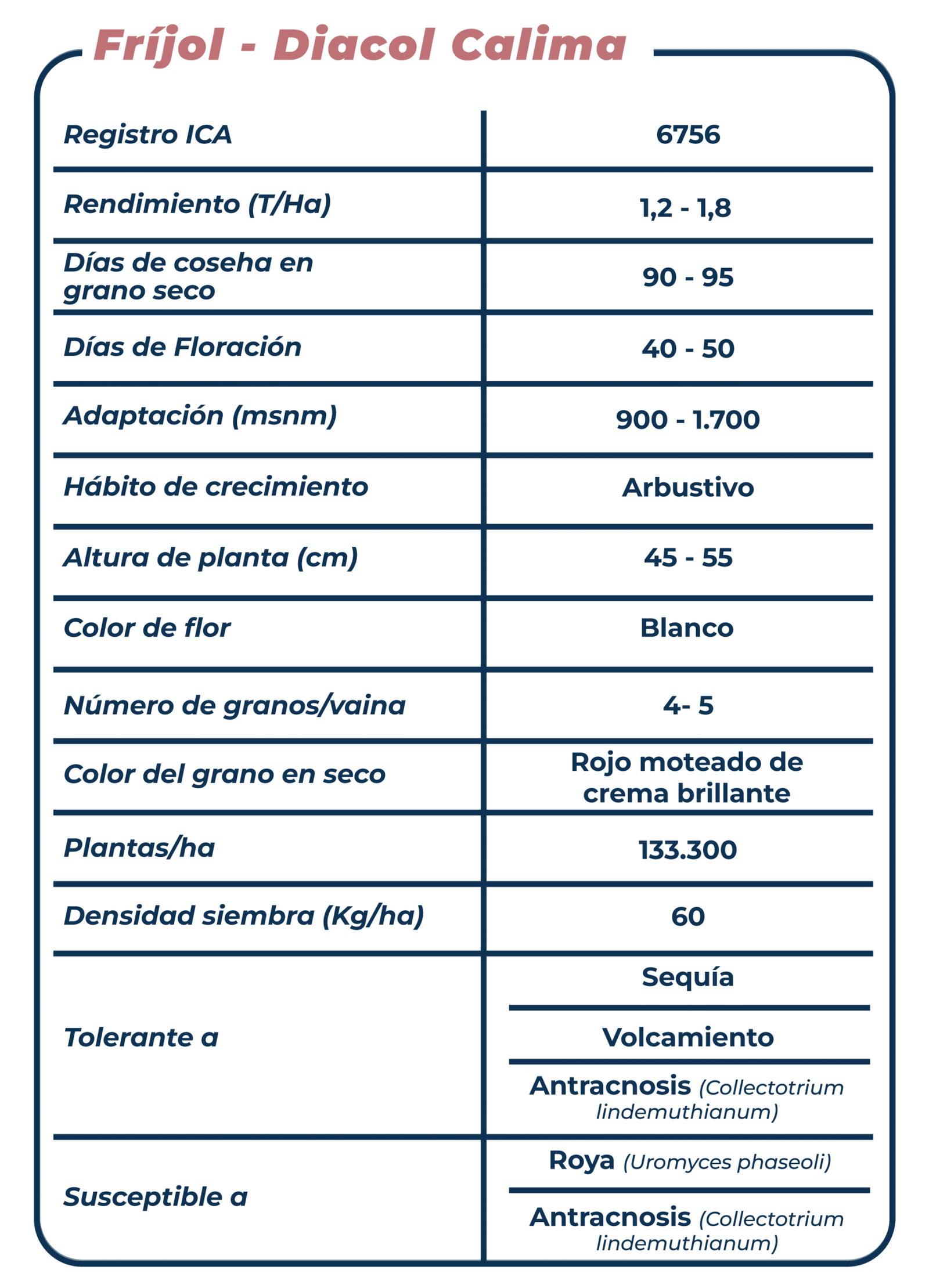 Ficha técnica Fríjol Diacol Calima