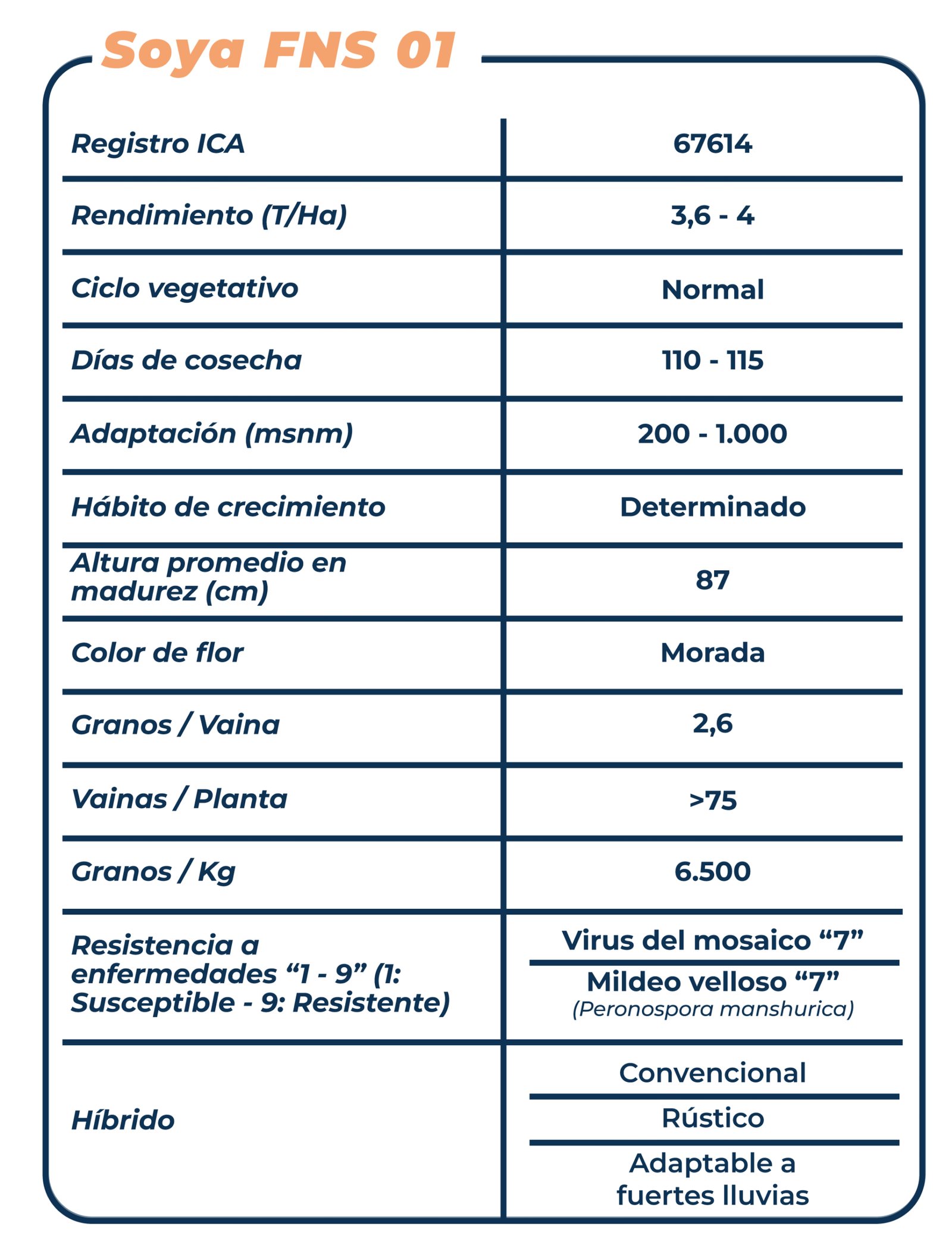 Ficha técnica Soya FNS 01