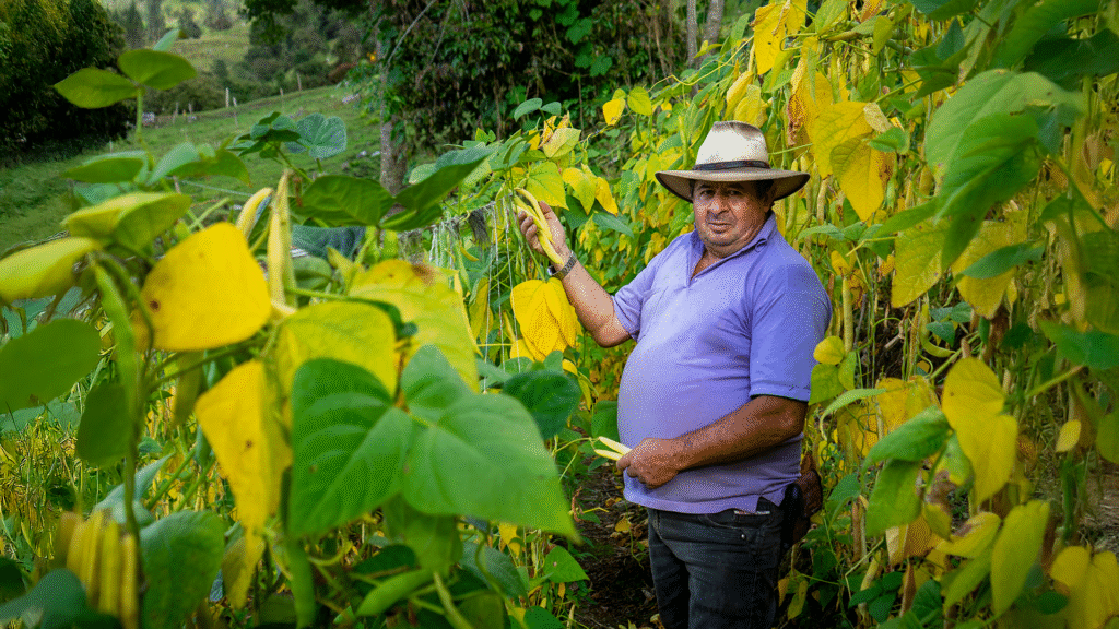 Fenalce y la Gobernación de Cundinamarca se unen para fortalecer la producción de fríjol